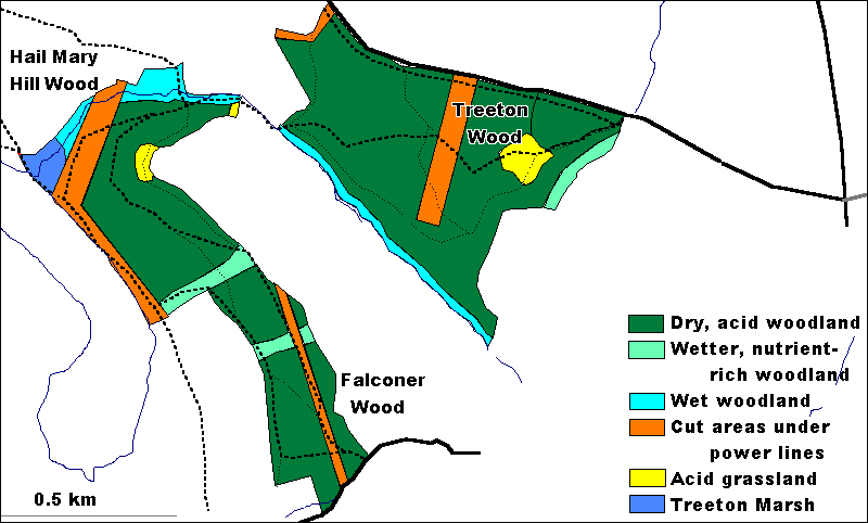 Treeton Wood - vegetation map